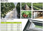 Mulch film,plant protect sleeve film w/hole,air-breath mulch film,silver,black,