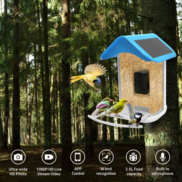 Buy cheap Smart Bird Feeder with Camera, Bird Watching Camera Auto Capture Bird Videos & Notify When Birds Detected, Bird Watching from wholesalers