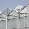Buy cheap Customizable High Durability Multispan Greenhouse Rain Resistant from wholesalers