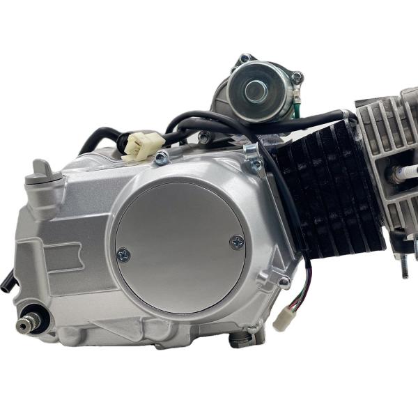 Silver 135cc Motorcycle Engine Single Cylinder 4 Stroke Air Cool Engine Assembly