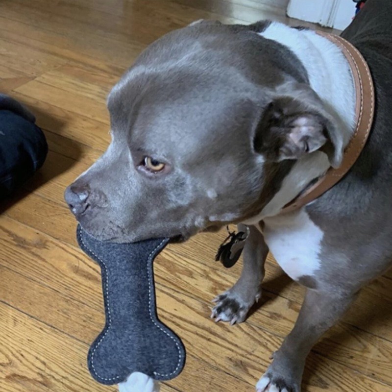 Chewing Toy Felt Bone Shape Pet Tugboat Toy Rope for Small Dog