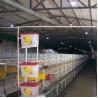 Buy cheap Quick Assembly Lightweight Steel Frame Chicken House Weather Resistant from wholesalers