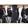 Buy cheap 1000mm Rotating Cow Brush 42kg Cleaning Massage Brush For Poultry Farm Equipment from wholesalers