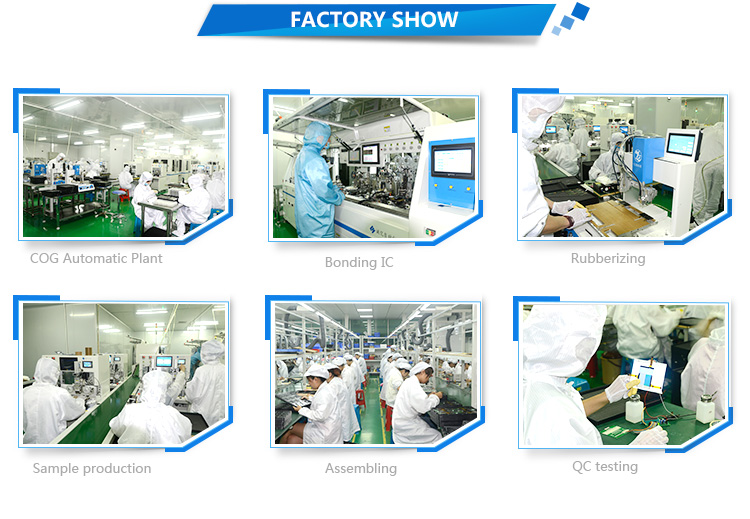 500 1 Contrast Ratio 2.86 inch 376 * 960 IPS TFT Strip Screen LCD Display Module with Capacitive Touch Screen