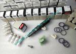 Original Delphi Solenoid Valve 2 pins Actuator Kit 7206-0379