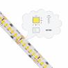 Buy cheap Outdoor Waterproof Flexible LED Strip Light 13w High Brightness For Decoration from wholesalers