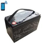 1280Wh Lithium Ion Battery , 12v 100ah Smart BMS Lifepo4 Battery