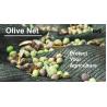 Buy cheap Customized Olive Harvest Net 5x10m 6x12m Fruit Tree Harvest Net Green from wholesalers