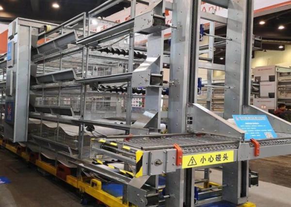 Buy cheap Poultry Farm Automatic Chicken Cage H Type Q235 International Standard Material from wholesalers