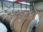PVDF Coating PPGI Steel Coil 0.45MM Thickness High Strength Stable Color Non