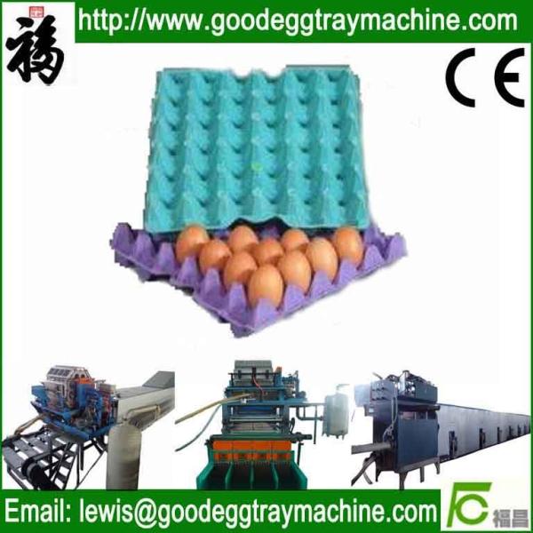 Buy cheap Egg tray plant(FC-ZMG6-48) from wholesalers