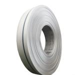 309s Self Adhesive Stainless Steel Strip 20mm ASTM 201 304 316 316L 410 430 3