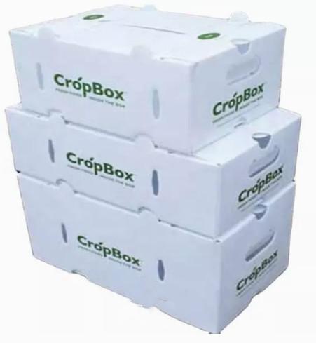 Buy cheap Vegetables Fruit Packaging Boxes Corrugated Plastic Static Protective from wholesalers