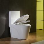 One Piece Elongated White CUPC Toilet Bowl Siphon Flush Powerful