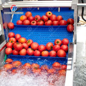 Buy cheap Multifunction Fruit And Vegetable Processing Line Parallel Brush Machine from wholesalers