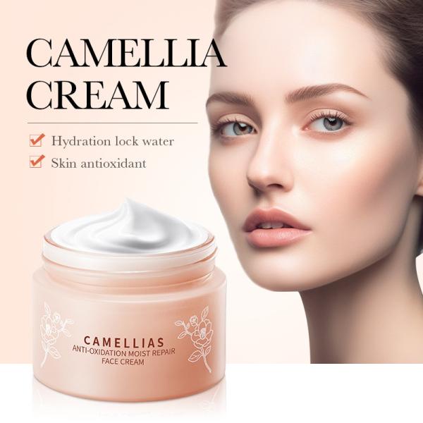 Buy cheap Unscented Scent OEM Skin Care Products Camellia Flower Anti Oxidant Moisturizing Repair Face Cream from wholesalers