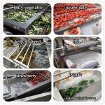 800kg/h Capacity Air Bubble Strawberry Washing Machine for Leafy Vegetables and