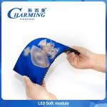 3C Certified Brand P2.5 Indoor LED Display Soft Magnetic Modules 320x160mm Video