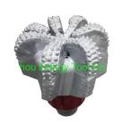 17-1/2 Inch API PDC Diamond Drill Bit for Oil Gas Well Rock Drilling