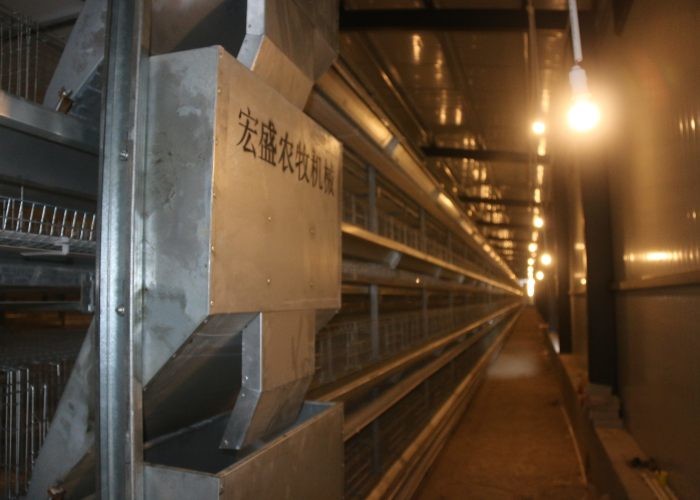 Hot Galvanized Layer Poultry Farming Equipment / A Type Layer Cages