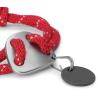 Buy cheap Customized Size Soft Nylon Dog Collar , Nylon Rope Dog Collar Unique Design from wholesalers