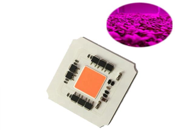 Buy cheap High Efficiency Driverless 100W AC220v 380-780nm COB Led Full Spectrum Grow Light Chip for Led Plant Growing Light from wholesalers