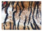 1.5mm Pile Velboa 100% Polyester Plush Toy Fabric Animal Print
