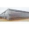 Buy cheap 4.0-8.0M Height Agricultural Multi Span Film Greenhouse with Super Strong Resistance from wholesalers
