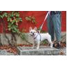 Buy cheap Heavy Duty Long Retractable Dog Leash Collar 26ft For Large Dogs from wholesalers