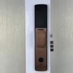 Black Face Recognition Door Lock Smart Eye Recognition Door Lock