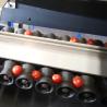 Buy cheap Stainless Steel Cherry Tomato Sorting Machine 360 Degree Rotational Scanning from wholesalers