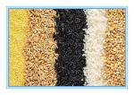 Mini CCD Grain Color Sorter Machine Price For Food Plant