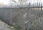 Beautiful Steel Palisade Fencing Powder Coated Park Guardrail Palisade