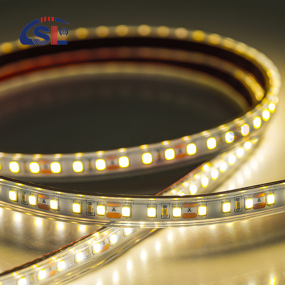 Waterproof LED Strip 12V 24V White Warm White 2835 120LEDs/m for Outdoor Garden Decor