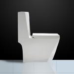Floor Mounted Ceramic One Piece Toilet Siphoinc Washdown dual flush