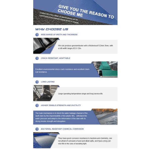 Contemporary Design Style India Manufactured HDPE Geomembrane 1mm for Fish Pond Liner