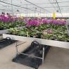 Buy cheap Durable Hydroponic Greenhouse Ebb Flow Tray Seedbed Grow Table Rolling Bench from wholesalers