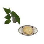 Non Toxic Melamine Soup Plate Safety 7.5" Melamine Fish Plate Durable