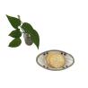 Buy cheap Non Toxic Melamine Soup Plate Safety 7.5" Melamine Fish Plate Durable from wholesalers