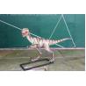 Buy cheap Realistic Coelurosaurs Dinosaur Lawn Statue Snow Proof For Festival Exhibition from wholesalers