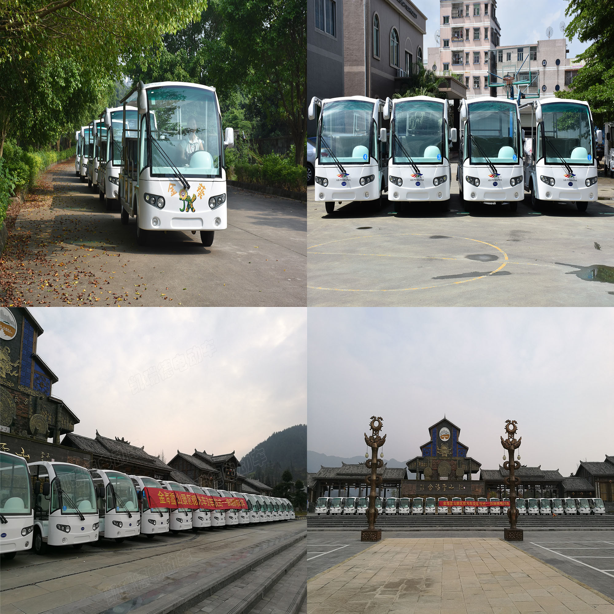 Gold 4Kw Eight Passenger Electric Shuttle Bus Designed For Tourist Attractions