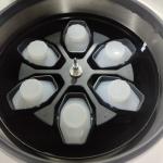 6x2400ml 8000rpm Floor Standing Refrigerated Centrifuge Blood Bag Centrifuge