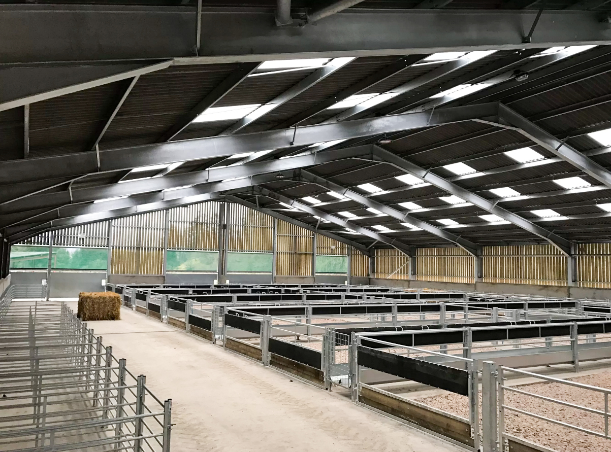 Long Span Grid Structure Q235/Q345 Low Carbon Steel Prefab Steel Structure Cow Shed
