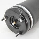 Mercedes Benz X164 W163 Air Suspension Strut A1643204513 A1643206113 A1643205813