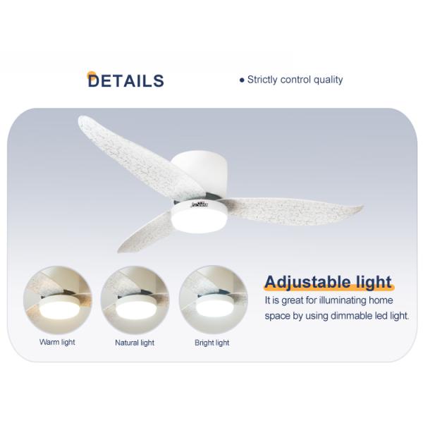 Low Ceiling 52 Inch LED Ceiling Fan with Smooth Operation and Flush Design