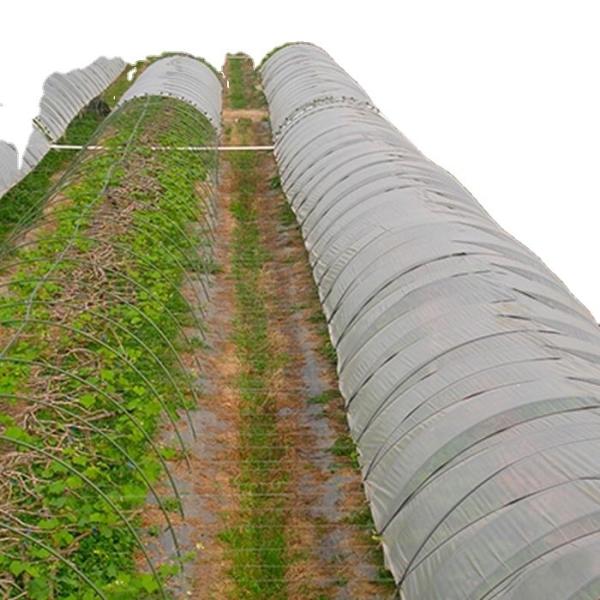 Buy cheap 70gsm Sunshine Spunbond Agricultural Ground Cover Garden Non Woven Fabric from wholesalers