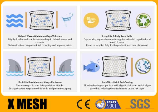 Buy cheap Copper Alloy Fish Cage Woven Wire Mesh 2.5mm 25mm X 25mm Opening from wholesalers