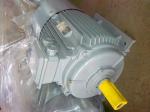 IP55 Asynchronous 3 Phase Motor B3 Mounting Aluminium Housing MS Electric Motor