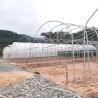 Buy cheap High Tunnel Single Span Tomato Hydroponic System Low Cost Plastic Greenhouse Agriculture from wholesalers