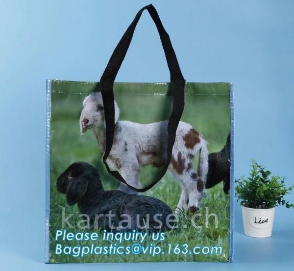 heat transfer printed pp woven fruit multifuction foldable tote shopping bags,